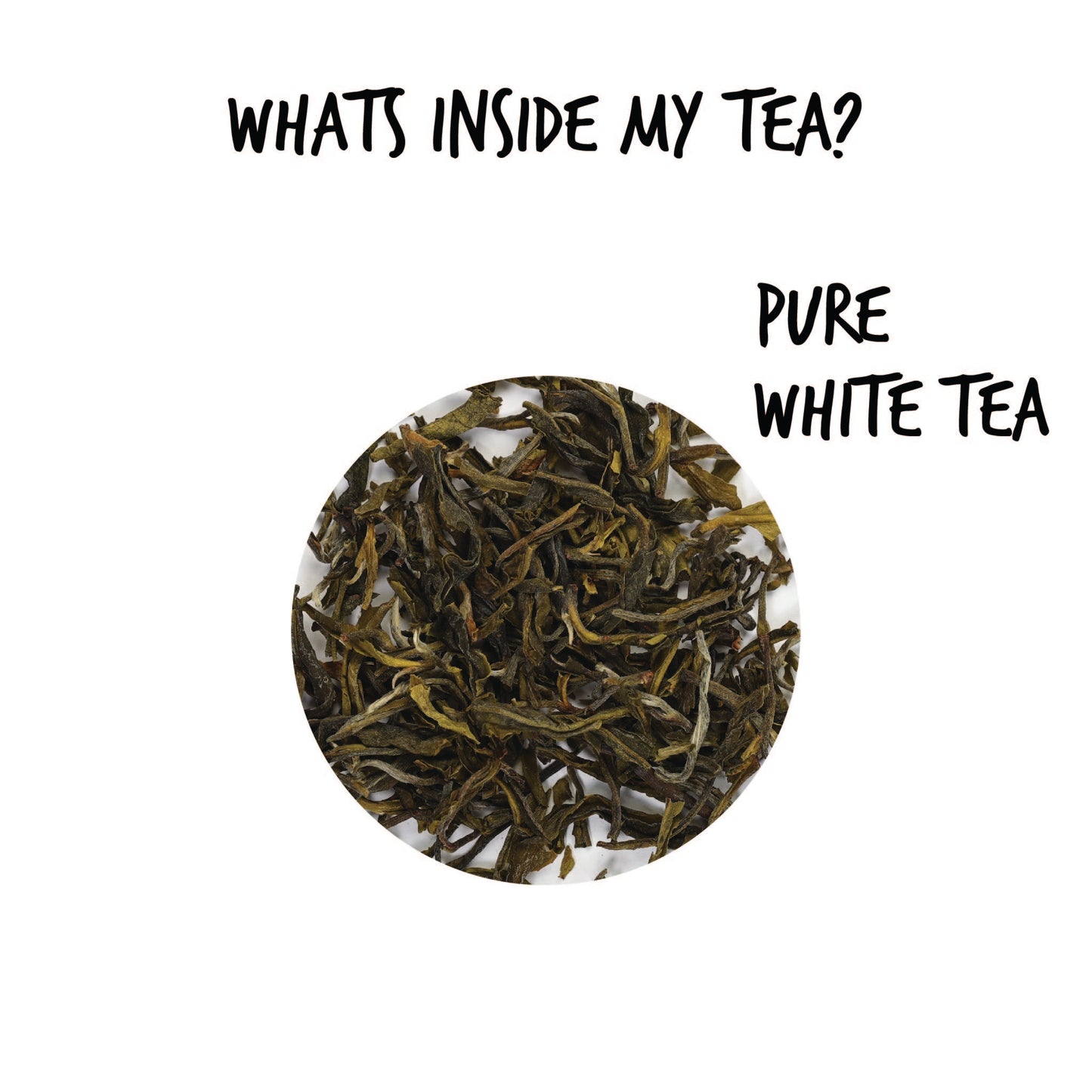 White Peony Tea | Loose Leaf Tea