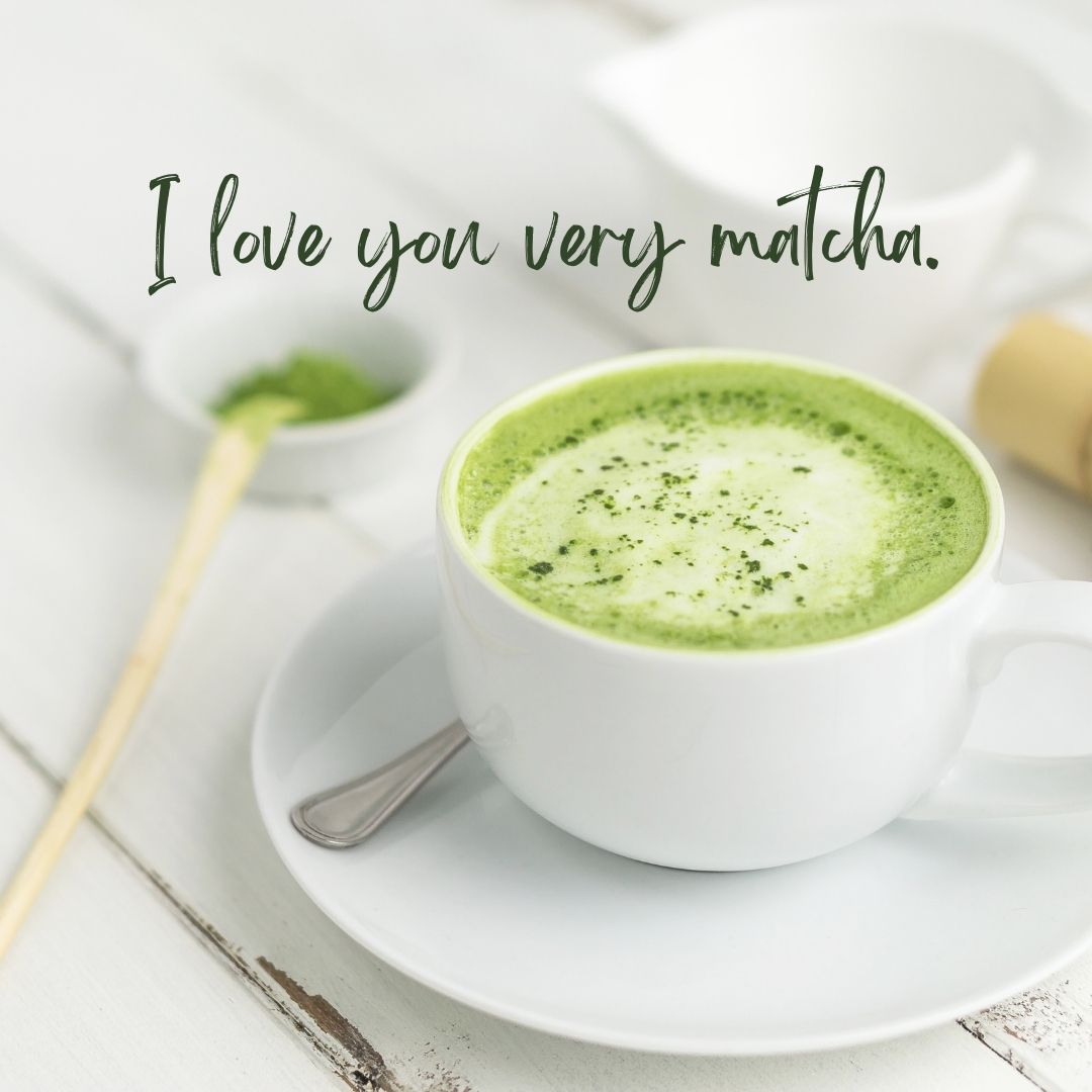 Matcha Green Tea | Authentic Japanese Powder